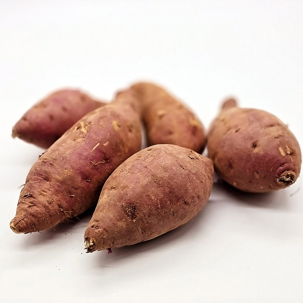 국내산 꿀고구마 5kg