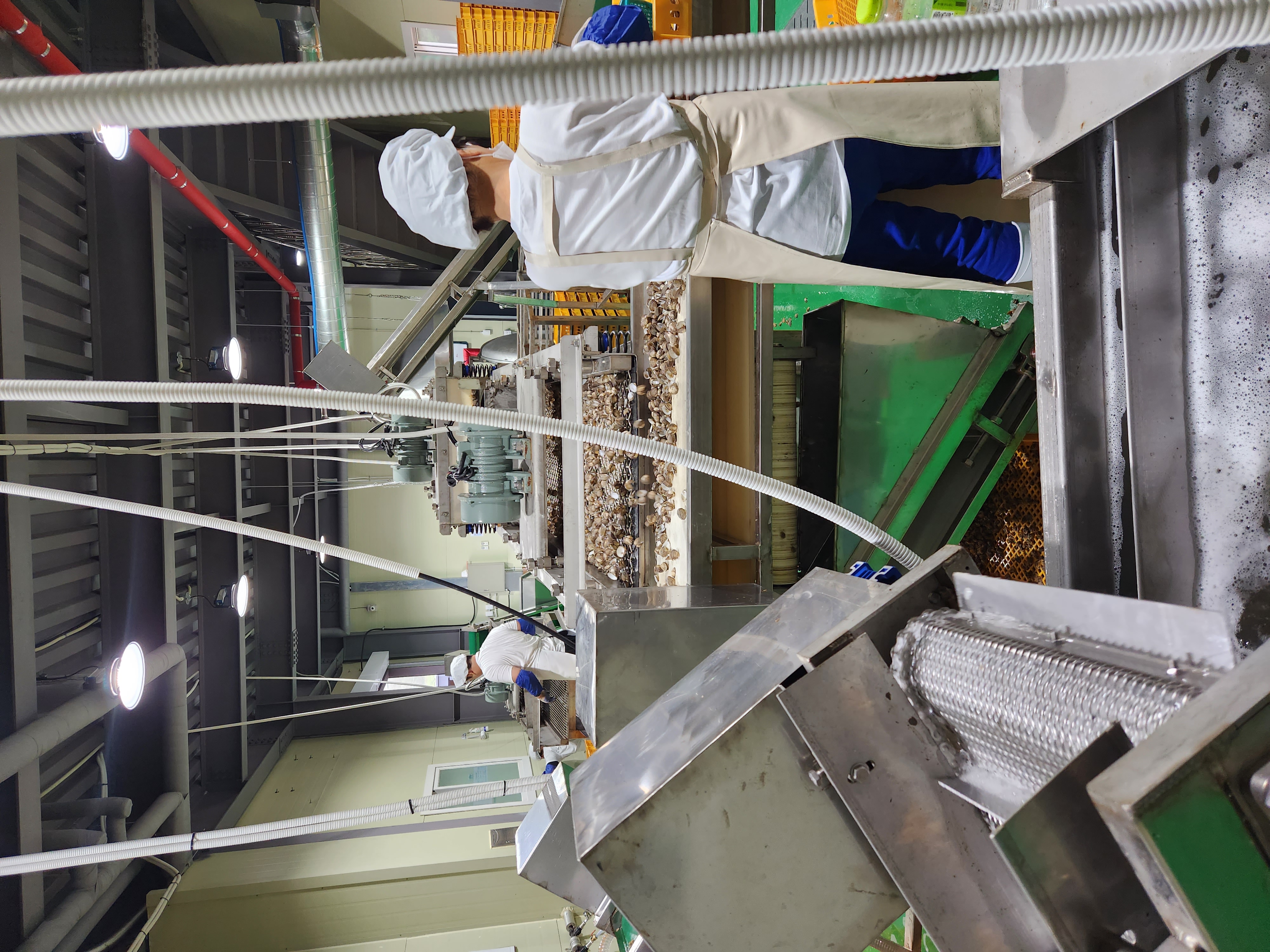 통통 자숙꼬막살 1kg