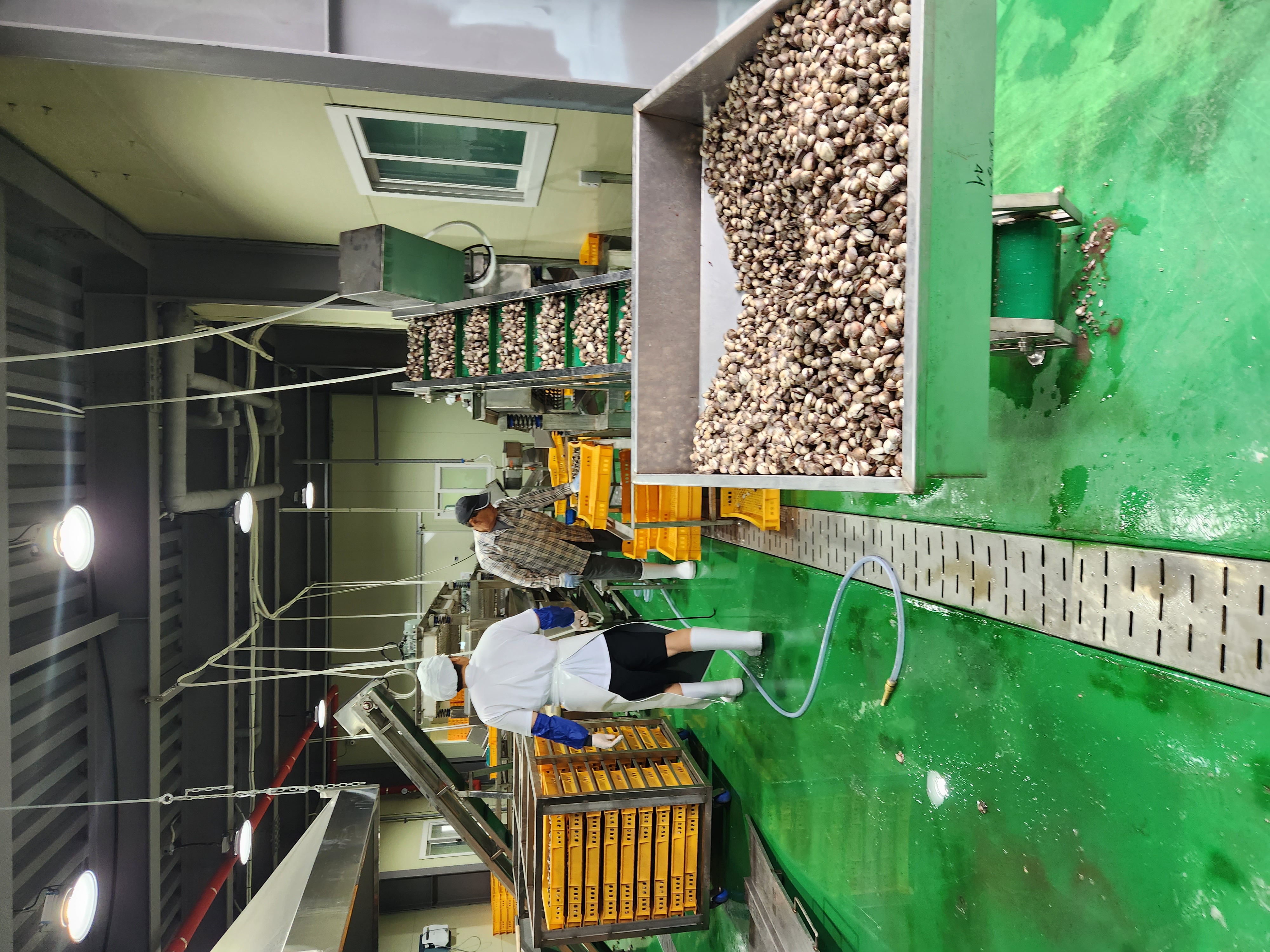 통통 자숙꼬막살 1kg