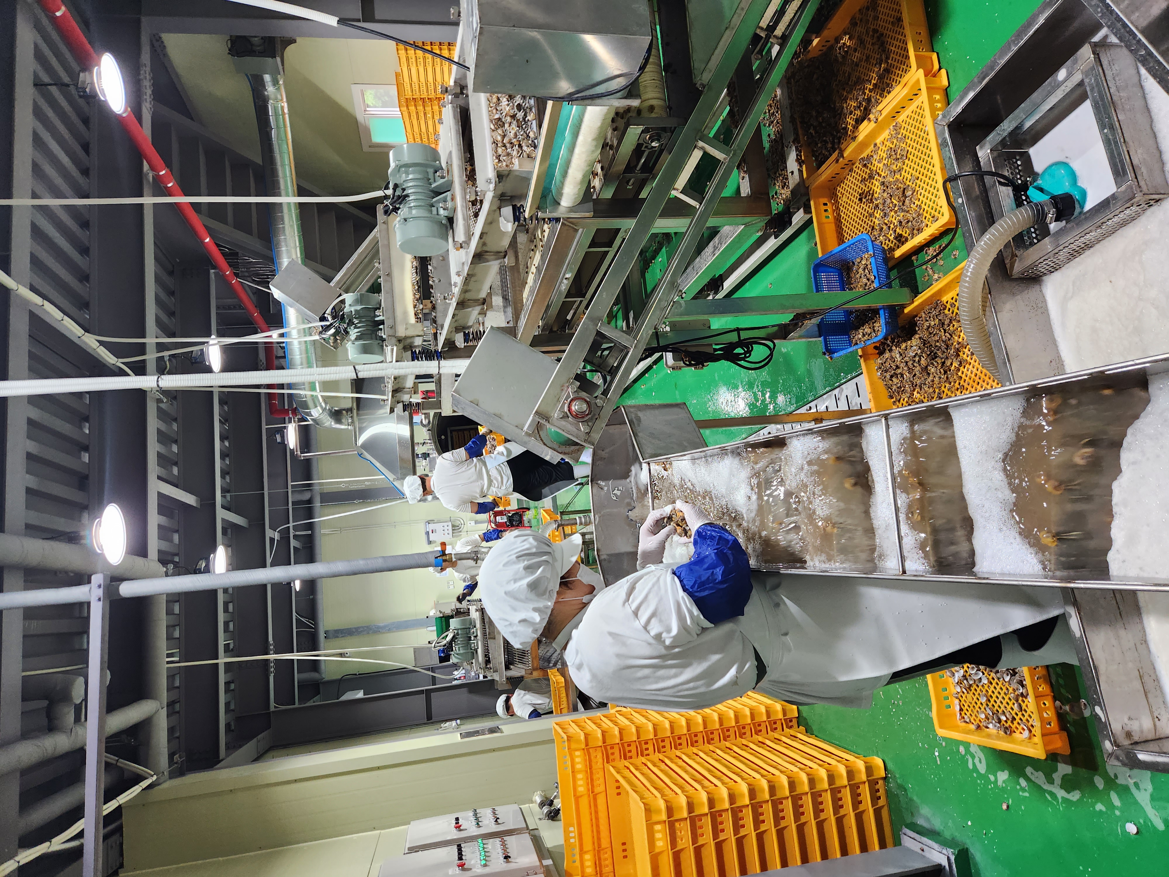 통통 자숙꼬막살 1kg