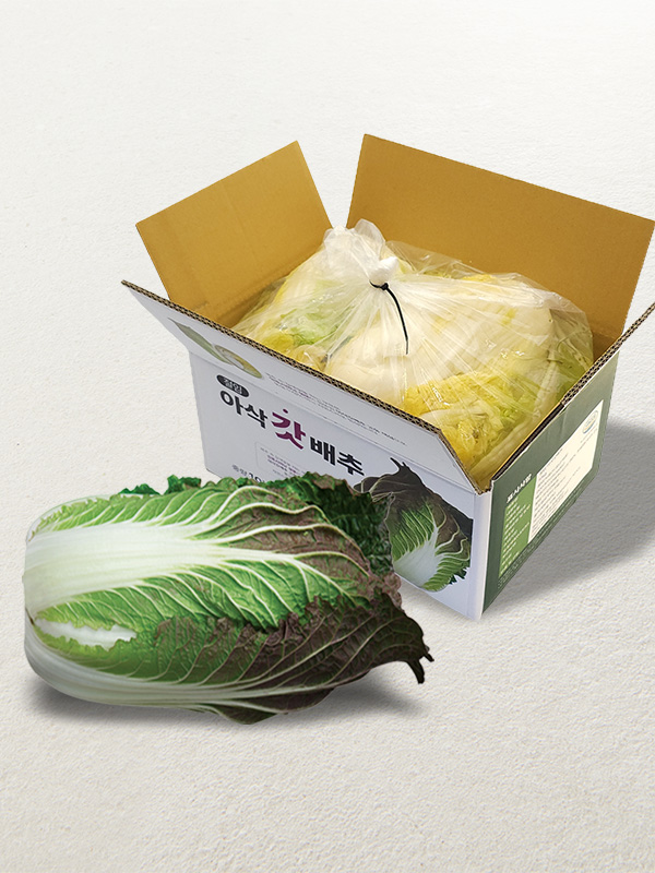 [예약주문/산지직송] Non-GMO 절임 아삭갓배추(4-5포기/10kg)