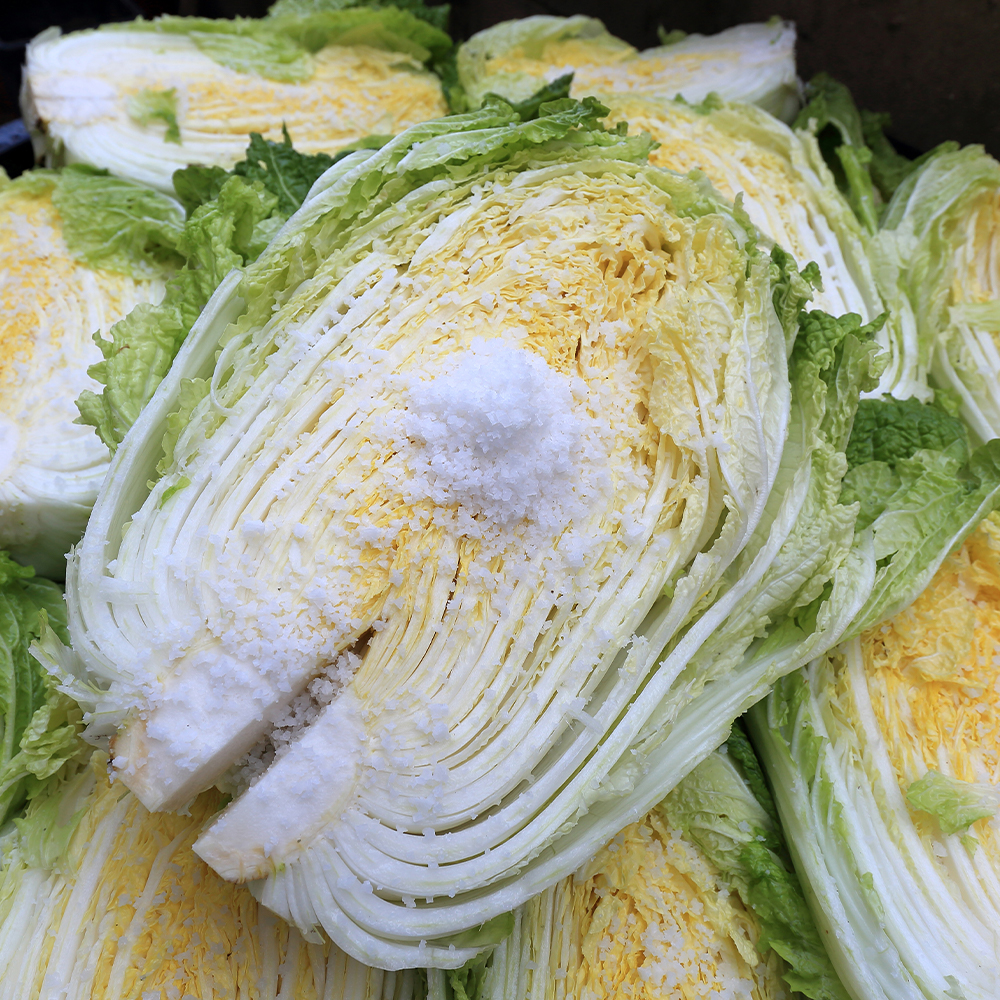 HACCP 해썹 인증 국내산 해남 절임배추 20kg 절인배추 김장배추 휘파람 김장 배추