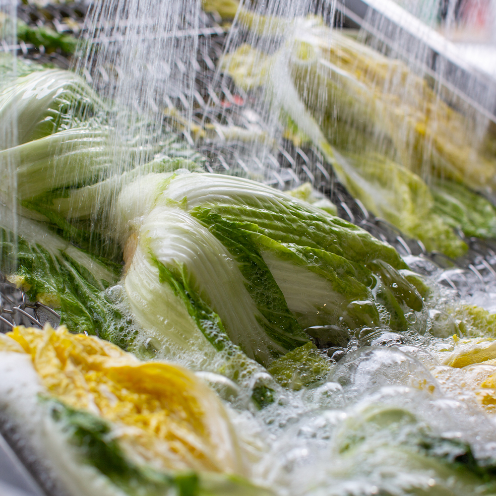 HACCP 해썹 인증 국내산 해남 절임배추 20kg 절인배추 김장배추 휘파람 김장 배추