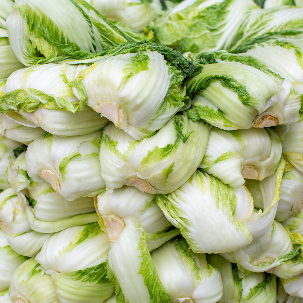 HACCP 해썹 인증 국내산 해남 절임배추 20kg 절인배추 김장배추 휘파람 김장 배추