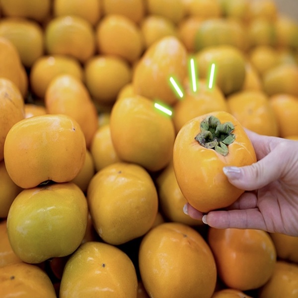 국산 햇 감 김해 단감 부유단감 5kg