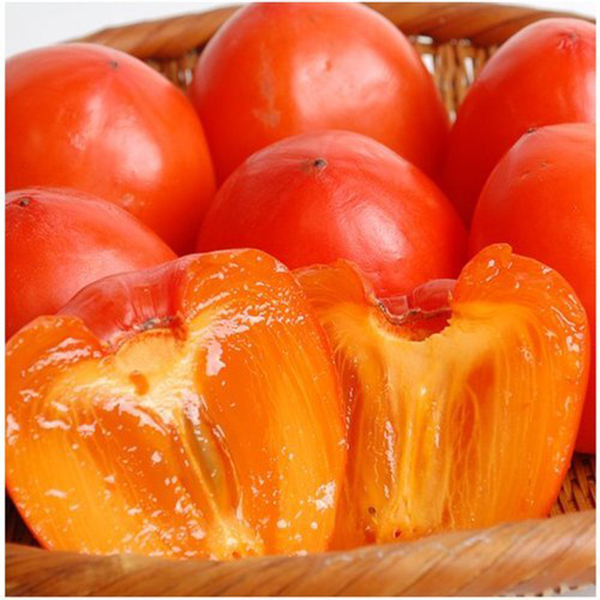 [두레] 남도 햇대봉 10kg(50과이내) 외 2종