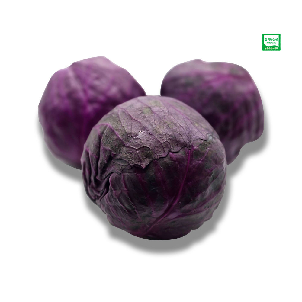 국내산 유기농 적양배추 2kg (1+1/총4kg)