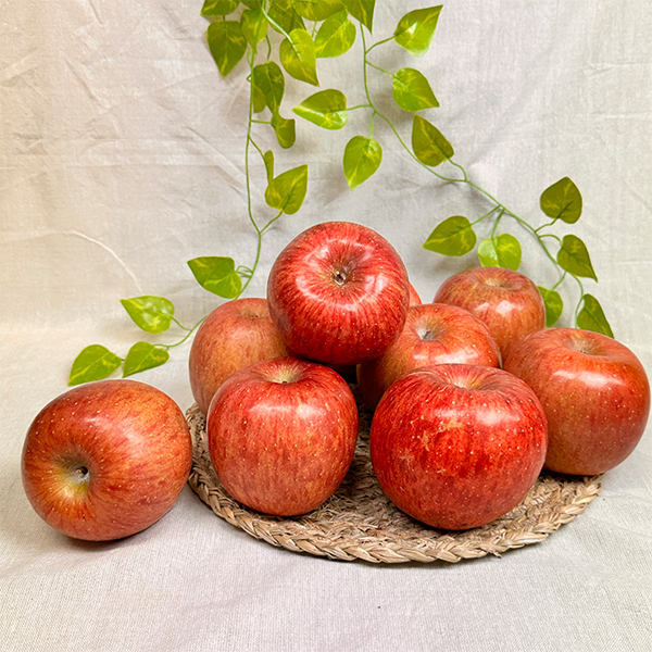 [사과캄스] 빨간 부사 사과 1.5kg 2kg 3kg 가정용 실속형