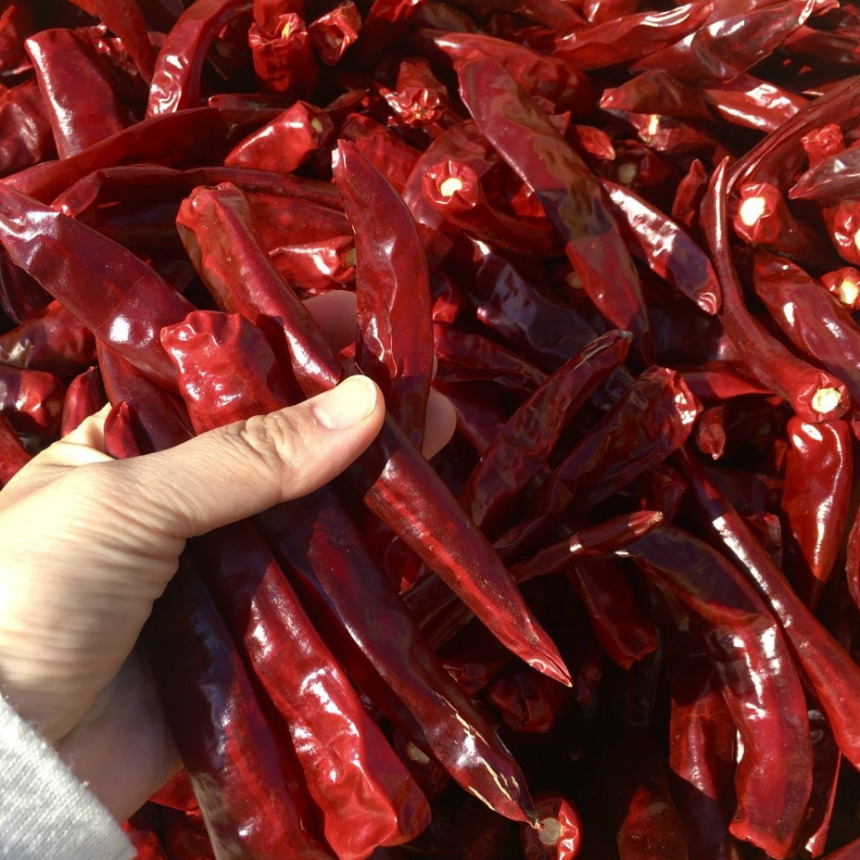 국산 25년 햇고춧가루 태양초고춧가루 선물세트(230g *3개)