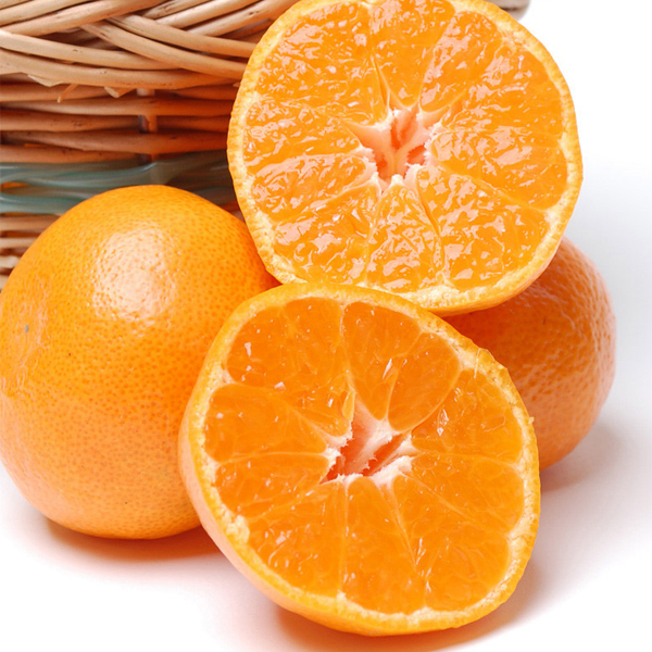 [두레]제주 타이백 감귤 2kg(2S_소과) 외 1종