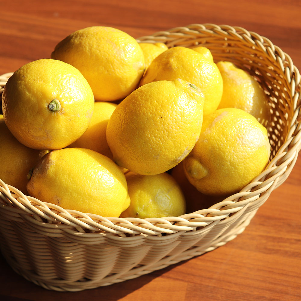 무농약 제주 청 레몬 (1kg/3kg/5kg)