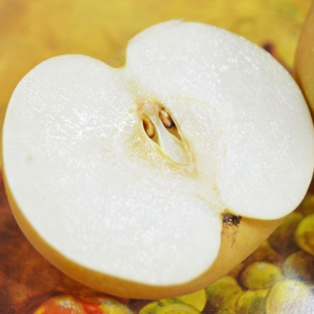 저탄소 가정용 신고배 (3kg/5kg)