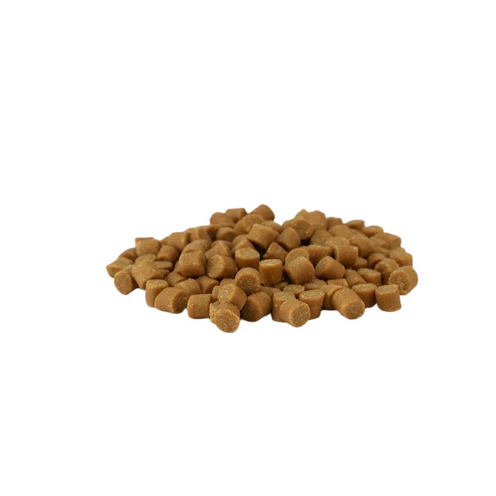 퓨어테이블 비건레시피 소프트사료 1.2kg