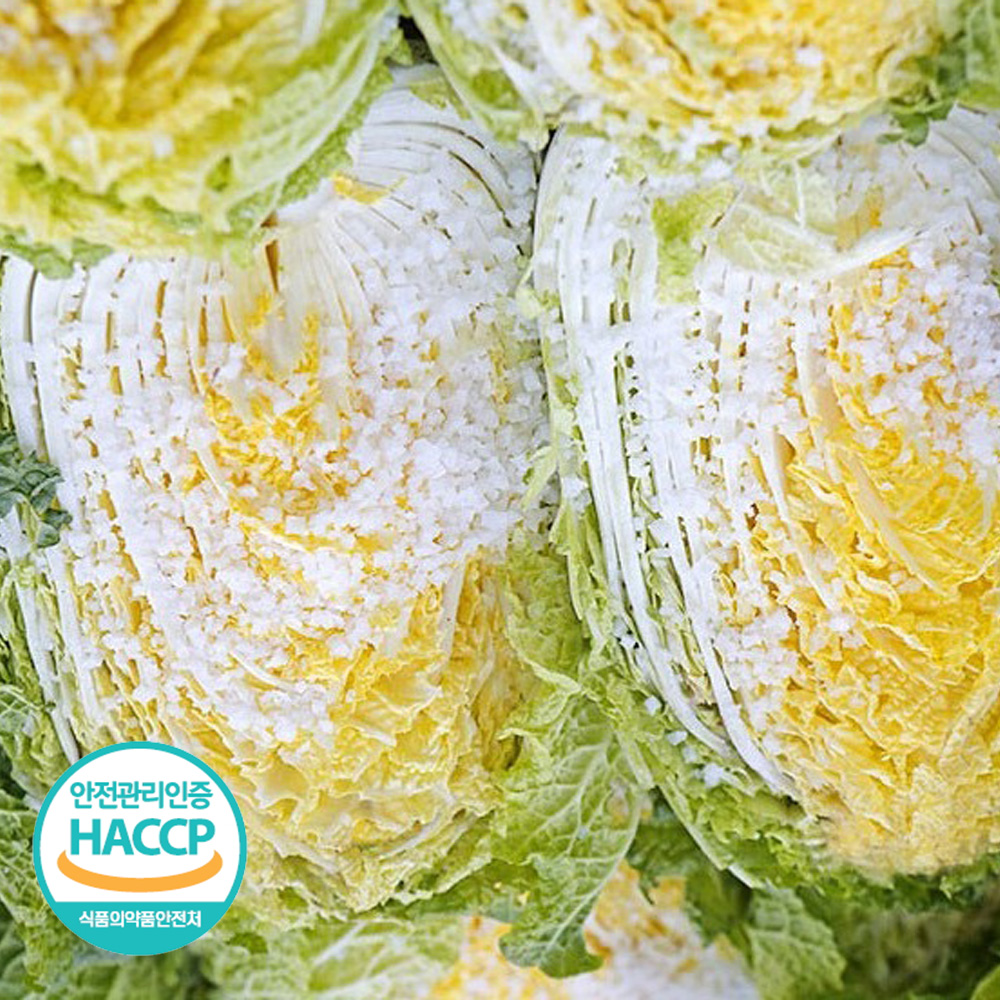 [예약판매] 해썹인증 전남 해남 절임배추 20kg 7-11포기 김장 WD
