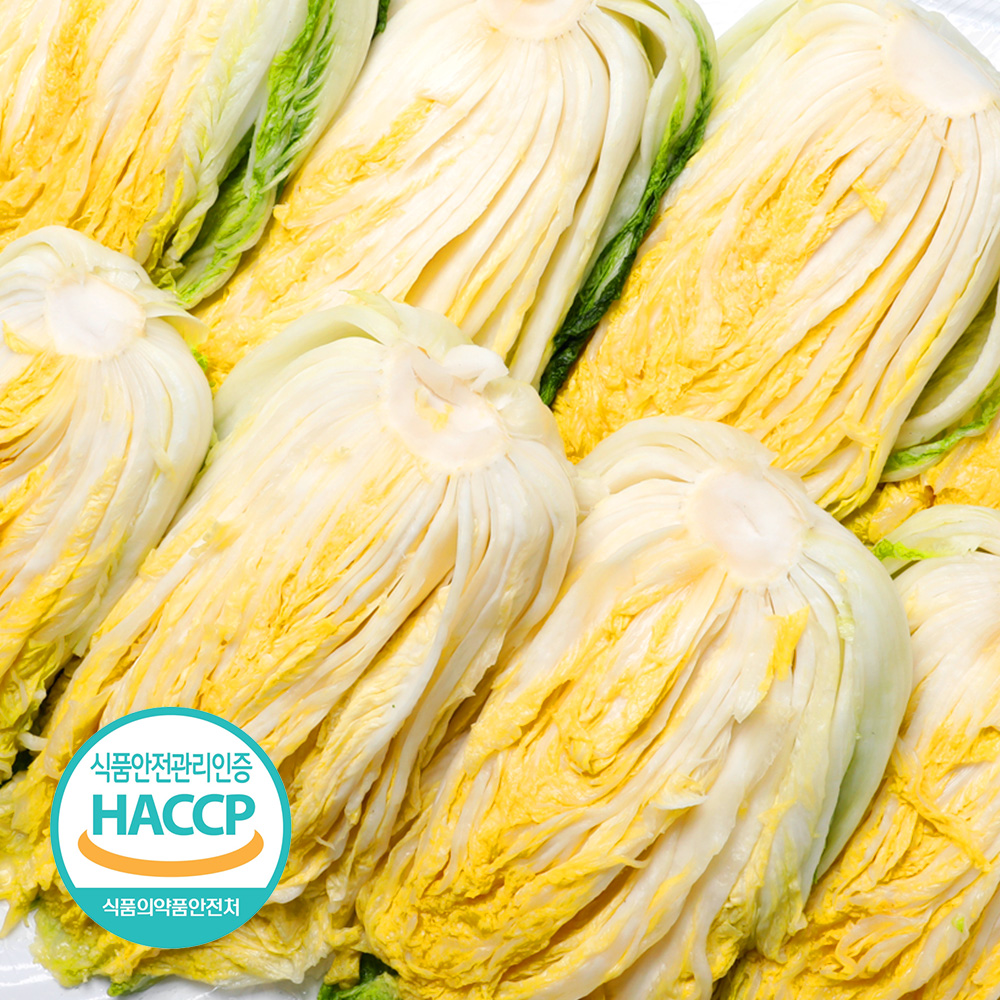 [예약판매] 해썹인증 전남 해남 절임배추 20kg 711포기 김장 WD 대표이미지 섬네일