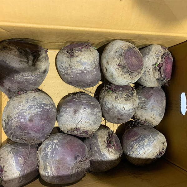 [비트최고] 레드비트 1kg 2kg 3kg 5kg 혼합과 비세척