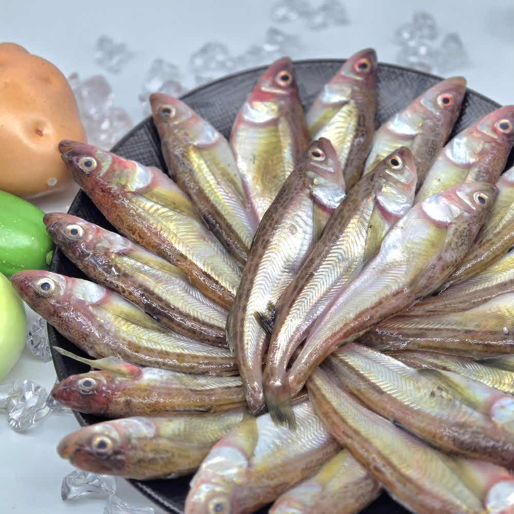 동해안 도루묵 제철 생물 조림 구이 500g 1kg