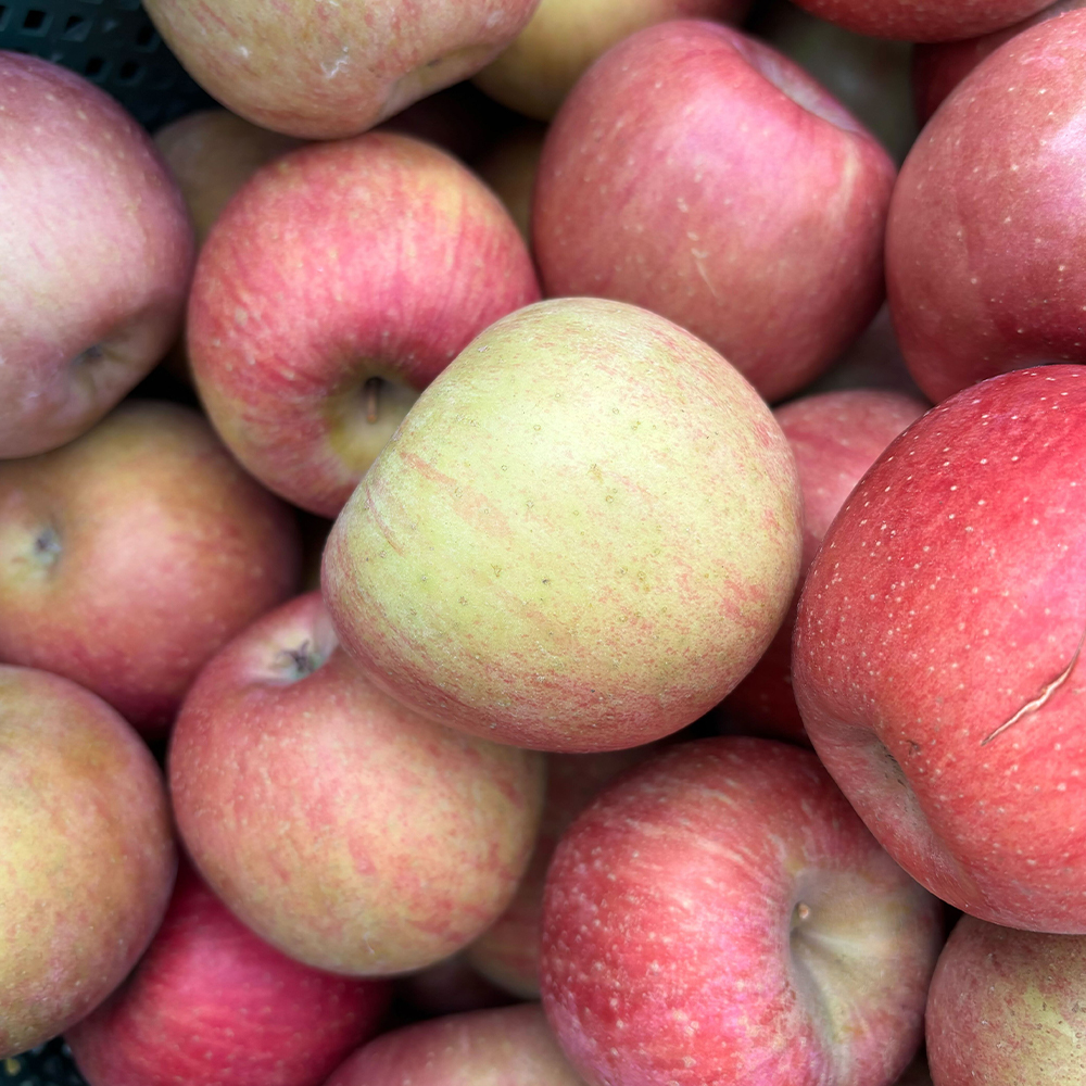 달콤아삭 사과 알뜰 햇부사 꿀사과 가정용 부사 4kg 8kg