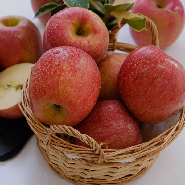 [사과최고] 달콤아삭 부사 사과 가정용 소과 중과 대과 혼합
