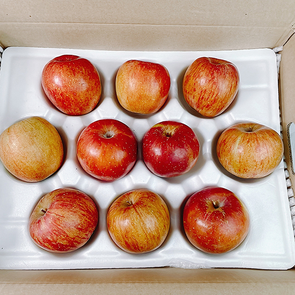 [사과최고] 달콤아삭 부사 사과 가정용 소과 중과 대과 혼합