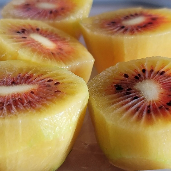 [키위늘푸] 당도보장 레드키위 제주 국산 키위 2kg 3kg