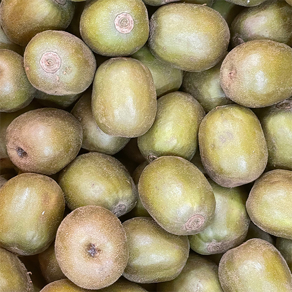 [키위늘푸] 당도보장 레드키위 제주 국산 키위 2kg 3kg