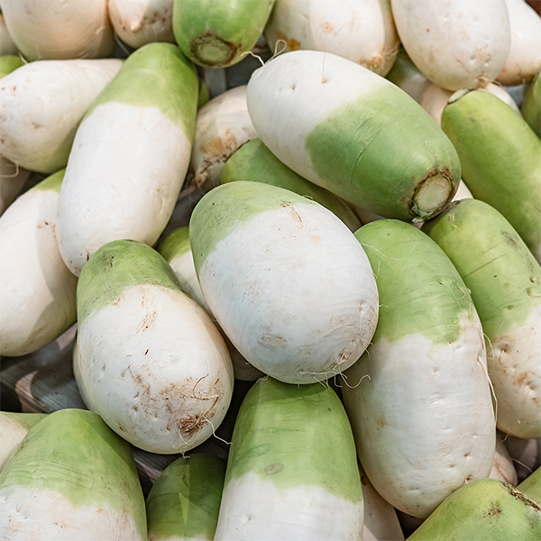 [김장늘푸] 강원도 무 고랭지 무우 무시 10kg