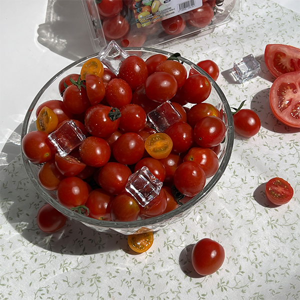 [토마캄스] 대추 방울 토마토 2kg 3kg 5kg 중대과 로열과 혼합