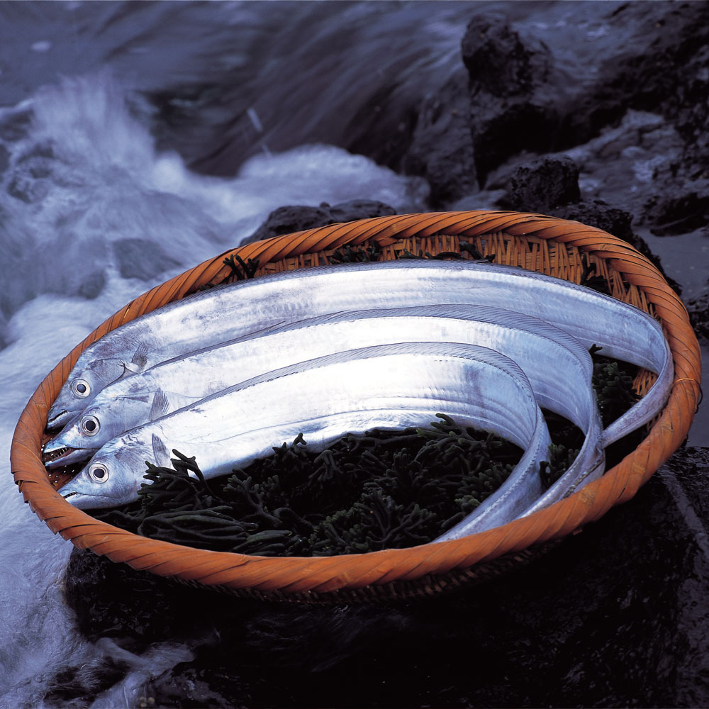 진짜제주 프리미엄 순살갈치 세트