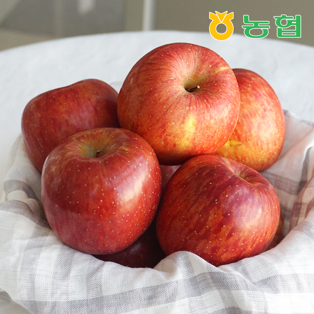[농협] 아삭달콤 안동 사과 부사 특품 3kg (14과내)