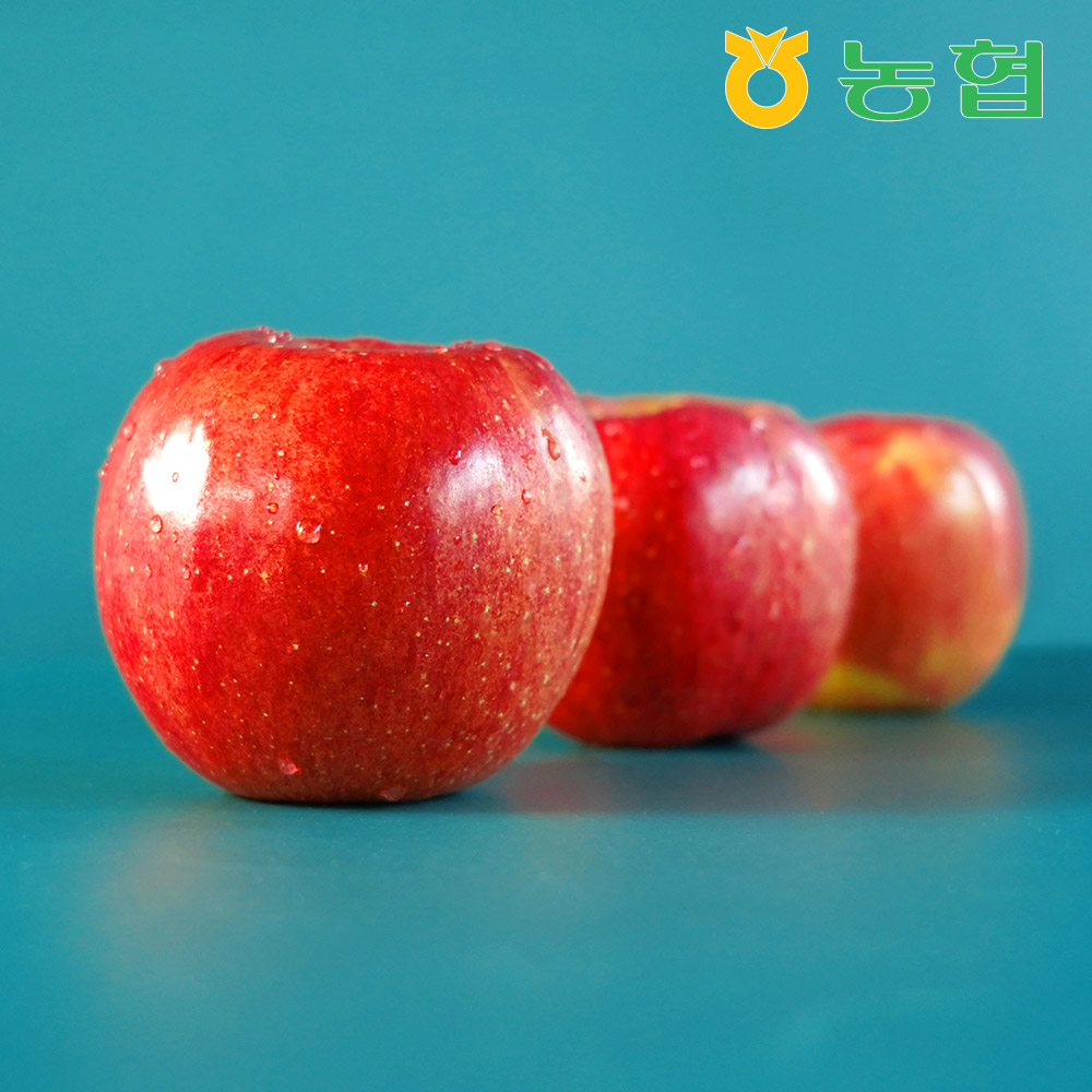 [농협] 아삭달콤 안동 사과 부사 특품 3kg (14과내)