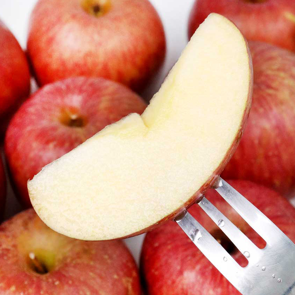 산지직송 경북 부사 A급 가정용 2.5kg 5kg