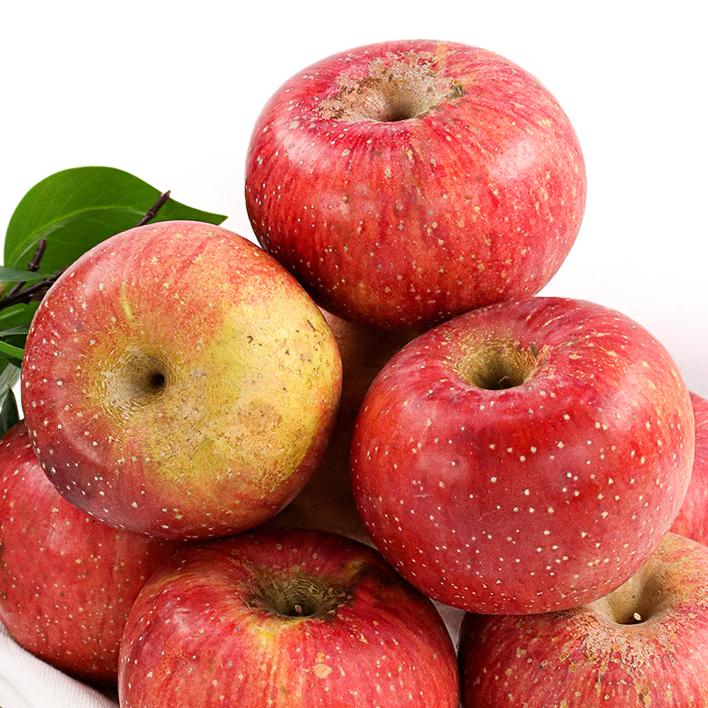 산지직송 경북 부사 A급 가정용 2.5kg 5kg