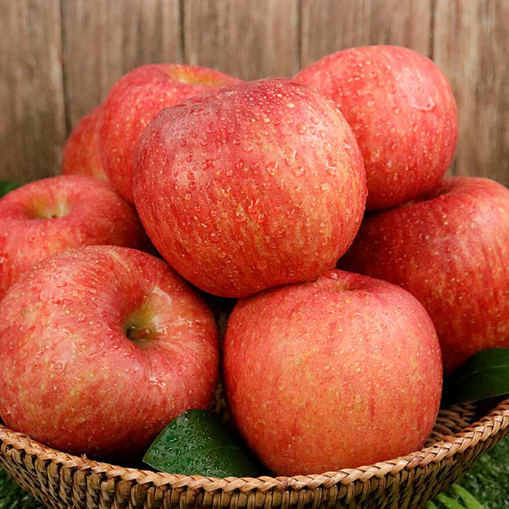 산지직송 경북 부사 A급 가정용 2.5kg 5kg