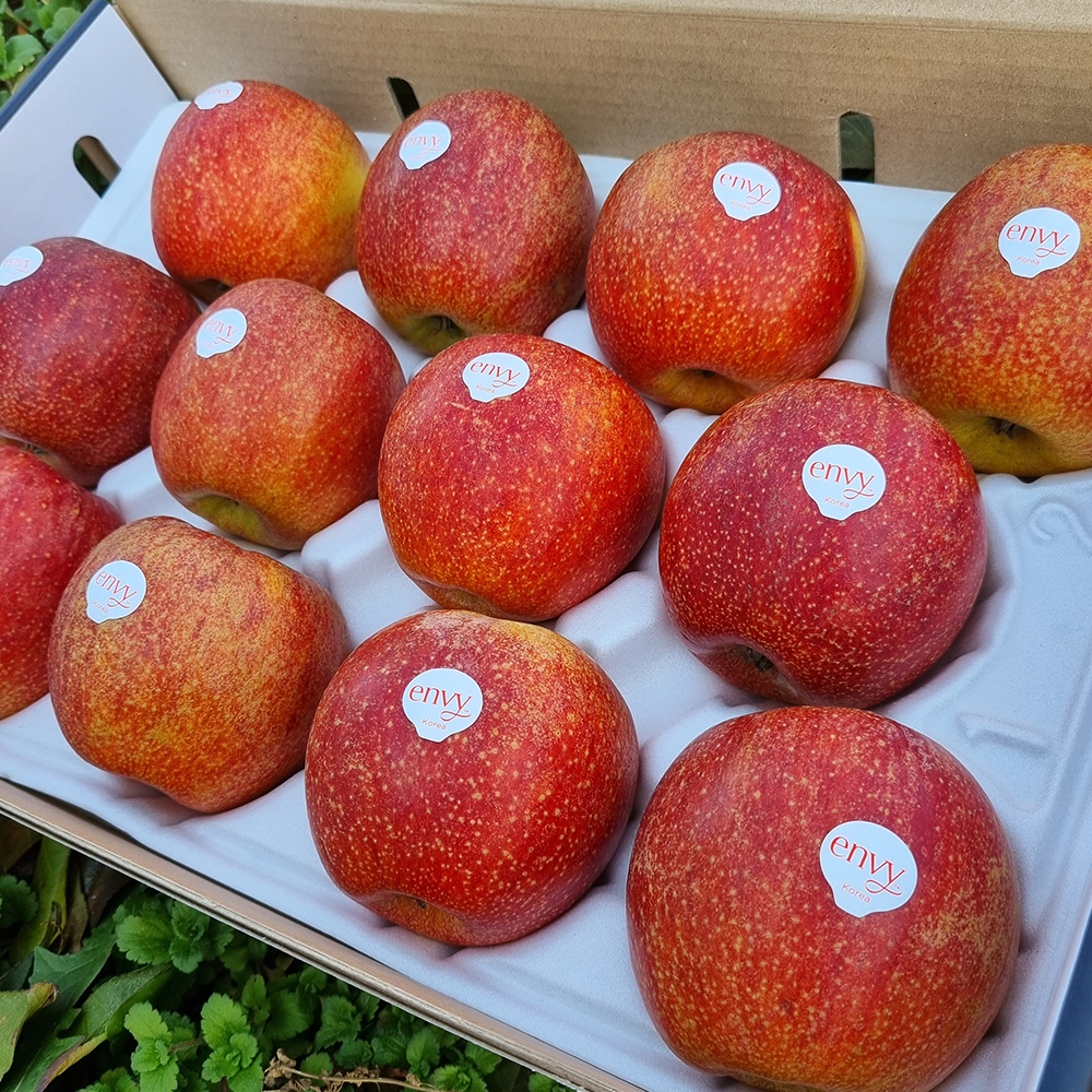 꿀 고당도 예산 엔비사과 선물용 정품 2kg 4kg 청송사과  문경사과 사과