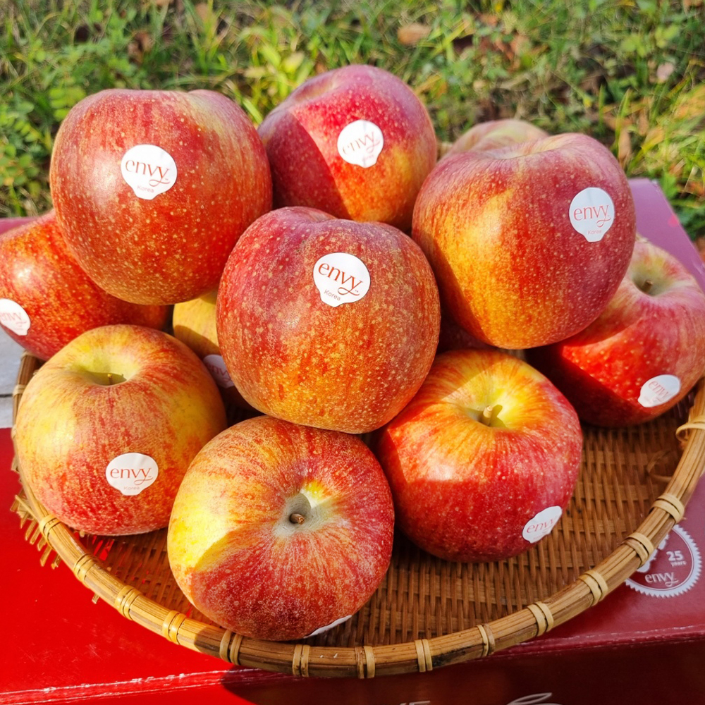 꿀 고당도 예산 엔비사과 선물용 정품 2kg 4kg 청송사과  문경사과 사과