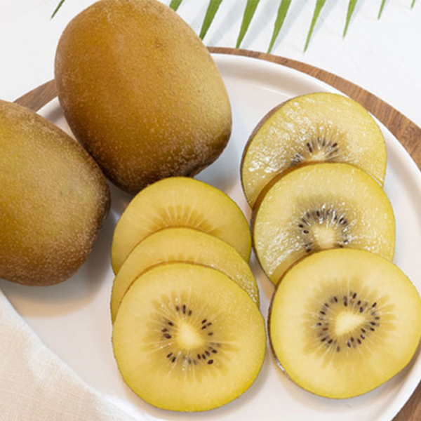 [키위최고] 국내산 키위 골드키위