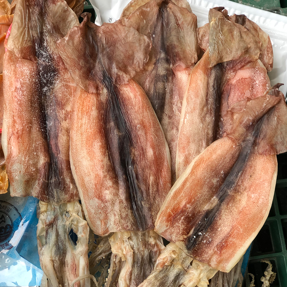 동해안 햇 반건조오징어 소,중,대,왕특대,파품 1kg 1.2kg 1.5kg 2kg
