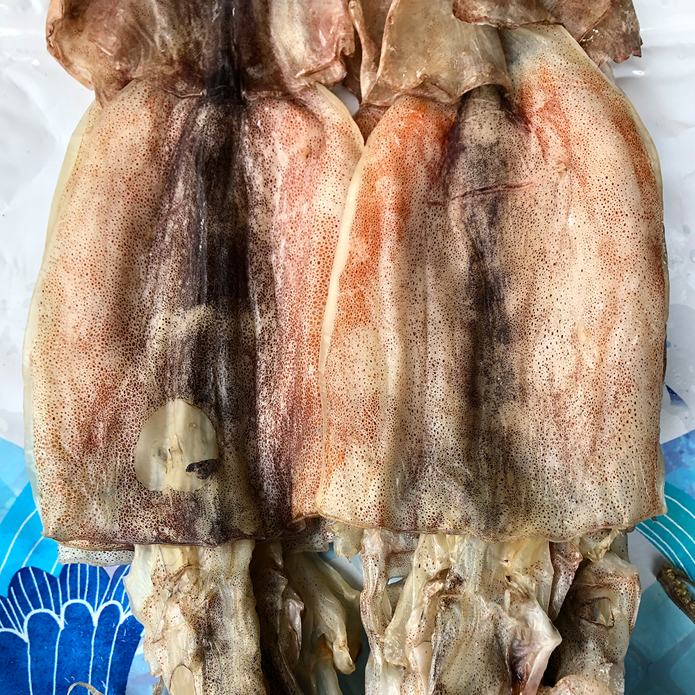 동해안 햇 반건조오징어 소,중,대,왕특대,파품 1kg 1.2kg 1.5kg 2kg