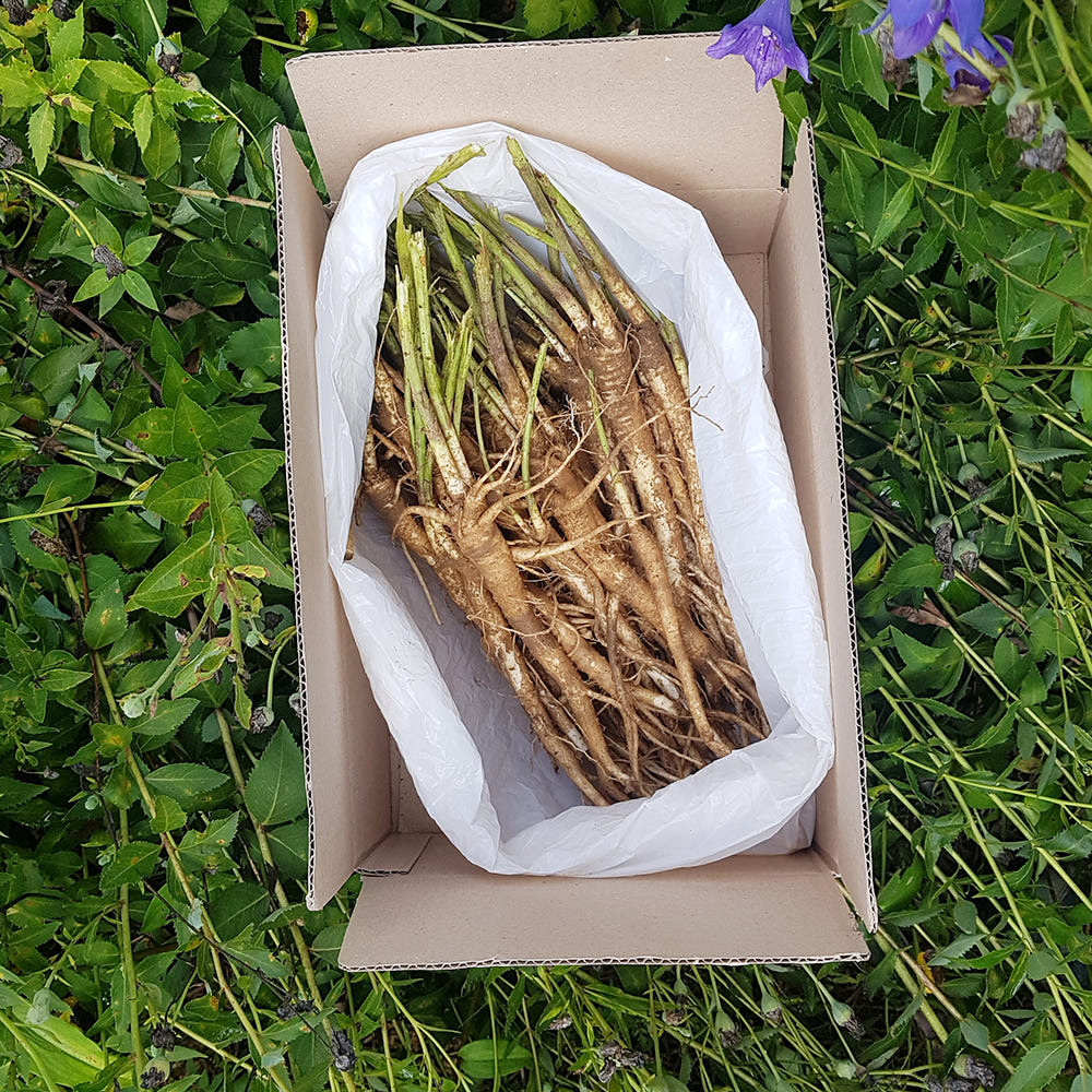 도라지미 국산 도라지정과 프리미엄 도라지청 4종 선물세트 1kg