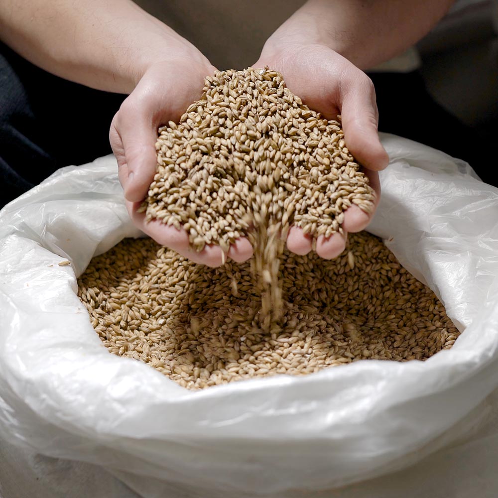 국내산 땅끝 해남 압맥 납작보리리쌀 800g-2.4kg