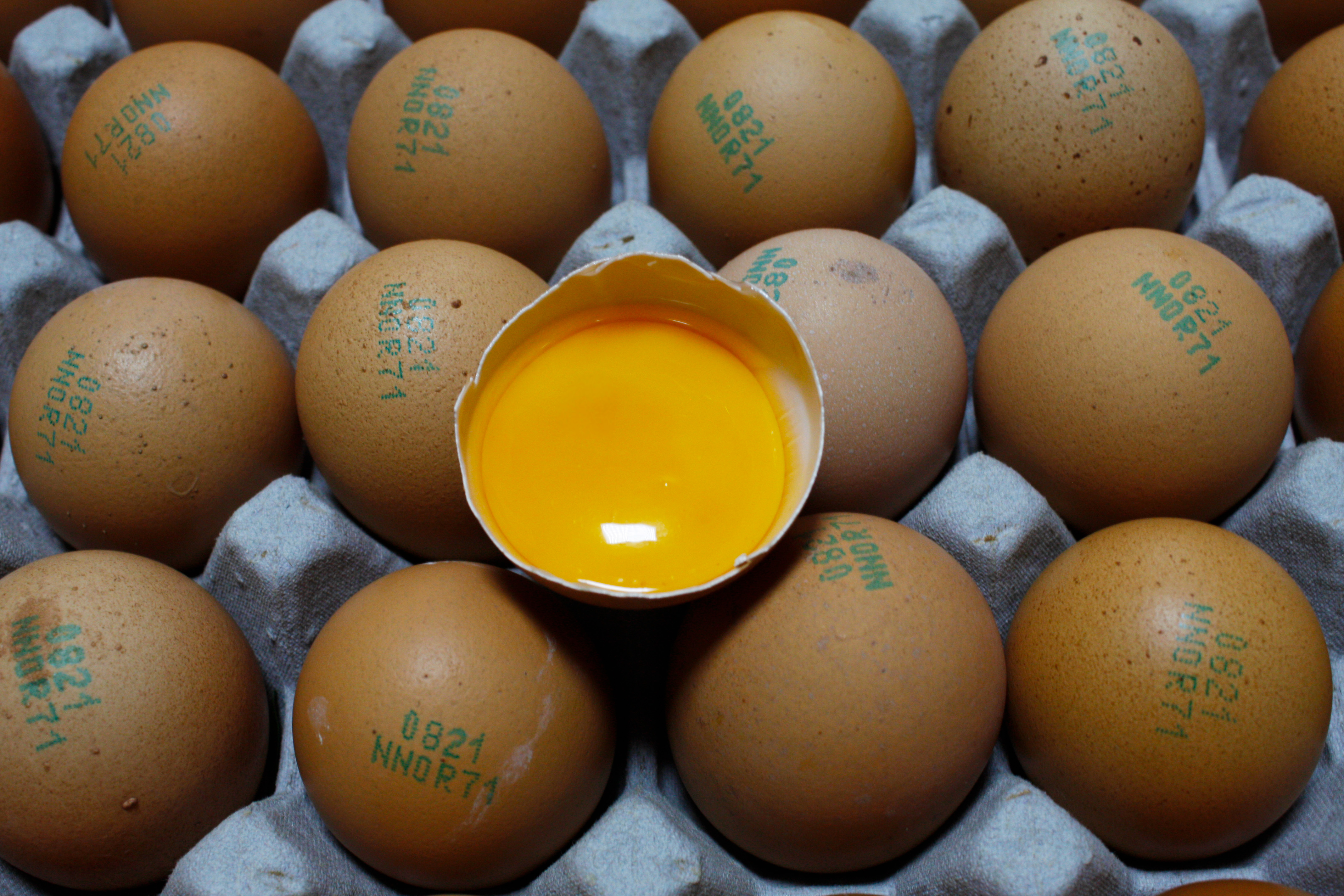 파손보장 난각번호1번 자연방목 무항생제 유정란 대란 특란 20구