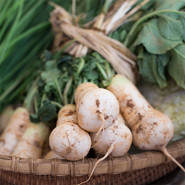 [김장늘푸] 강원도 알타리무 5kg 10kg 무우 무시