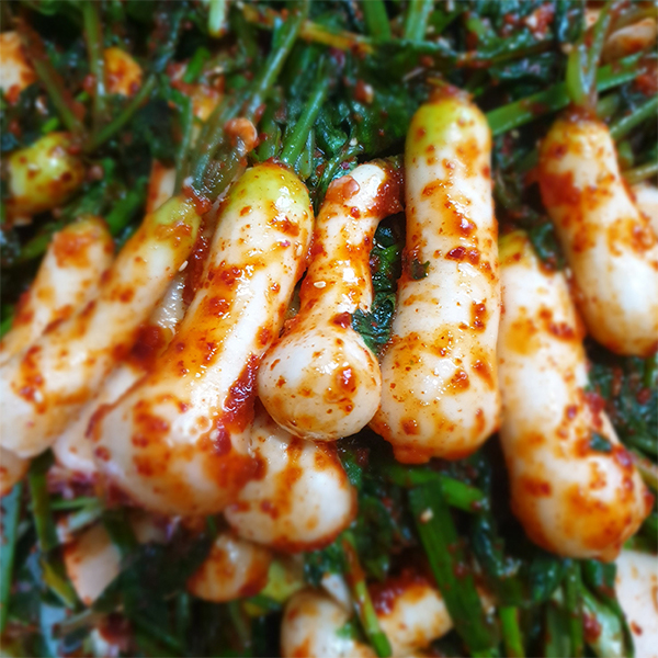 [김장늘푸] 강원도 알타리무 5kg 10kg 무우 무시