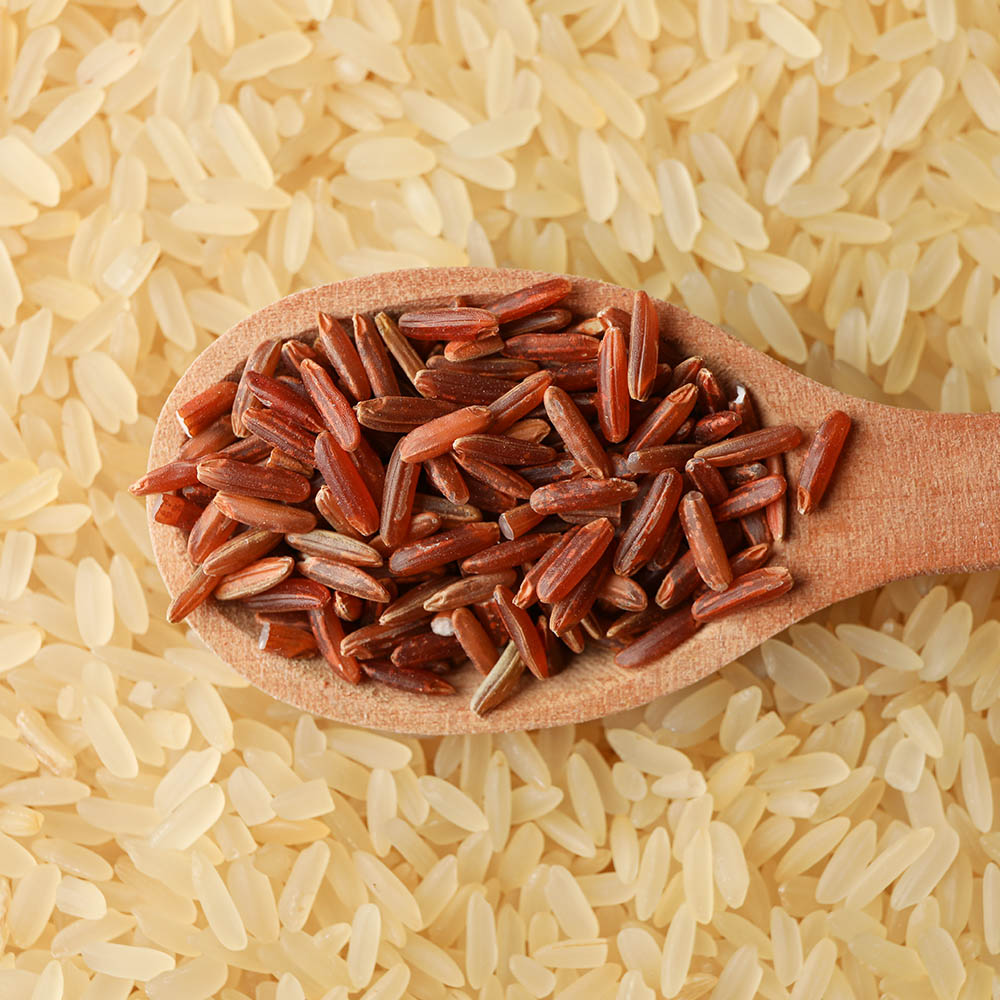 국내산 땅끝 해남 븕은쌀 홍미 1-3kg