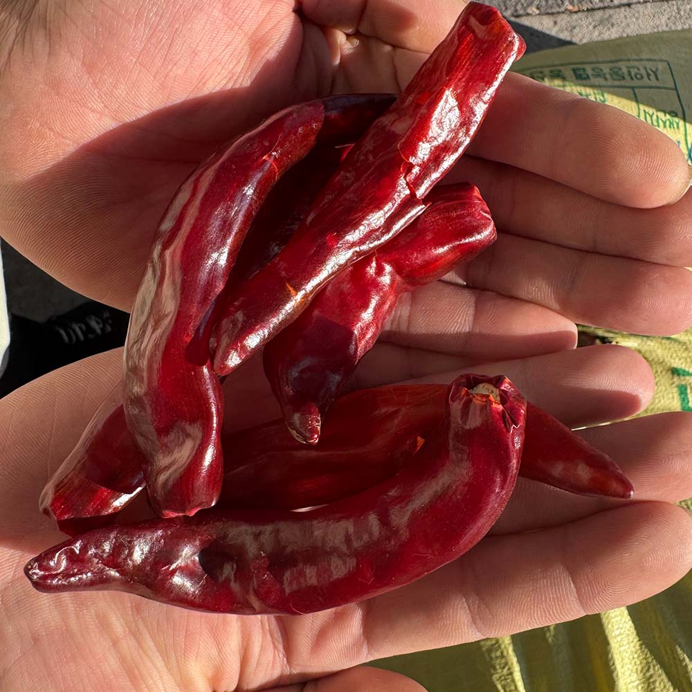 국내산 특품 말린 건고추 600g-3kg