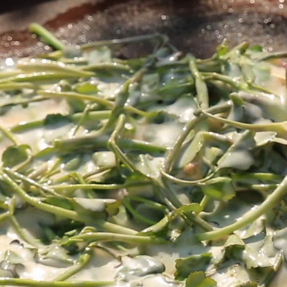 국내산 청도 한재 미나리 1단 200g 1-4단