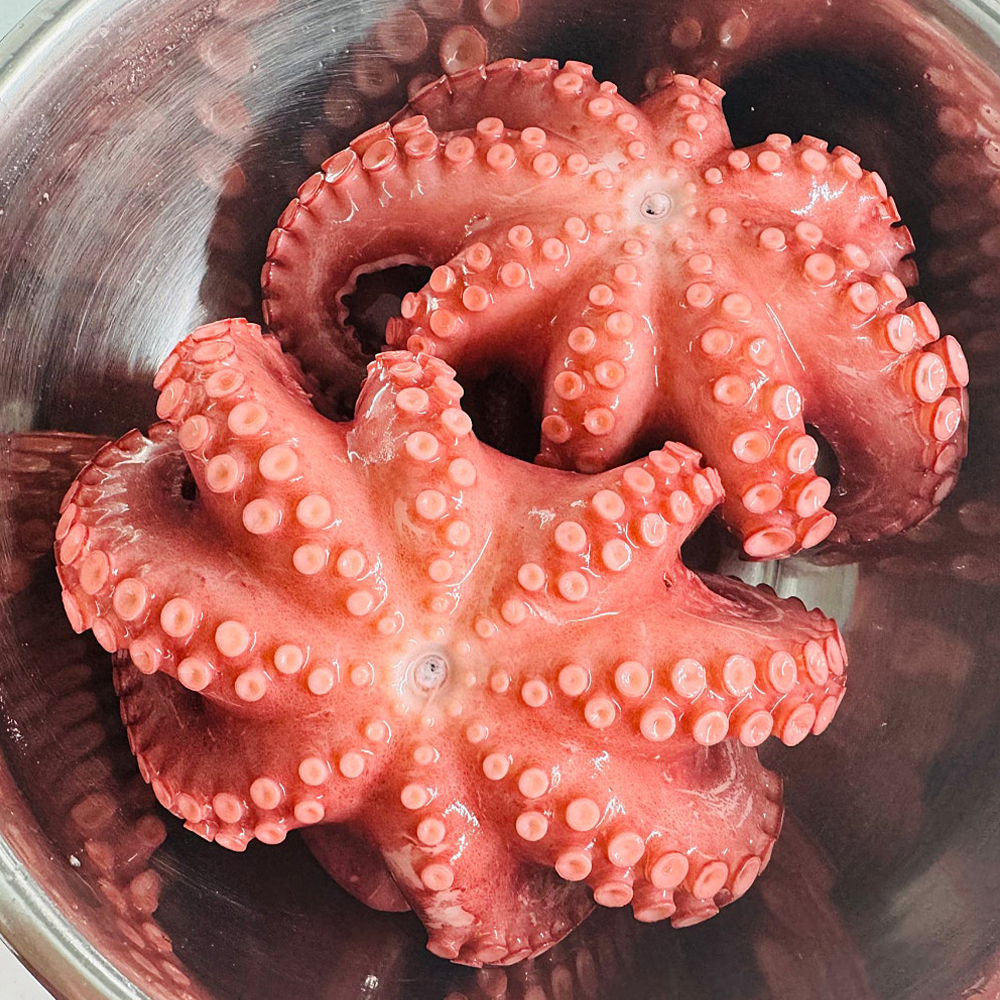 남해 산지직송 당일조업 돌문어 자연산 생물 문어 1kg 2kg