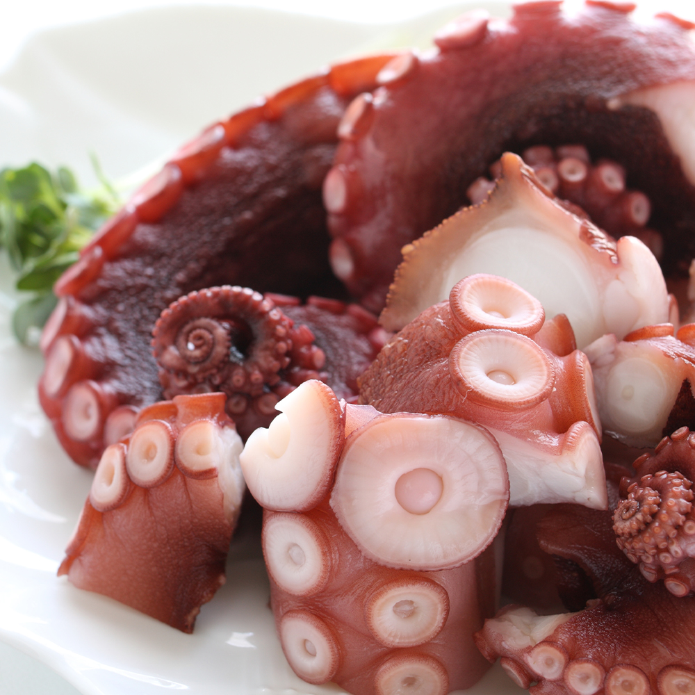 남해 산지직송 당일조업 돌문어 자연산 생물 문어 1kg 2kg