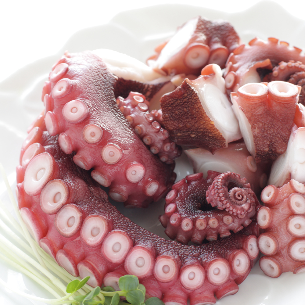 남해 산지직송 당일조업 돌문어 자연산 생물 문어 1kg 2kg